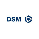 DSM